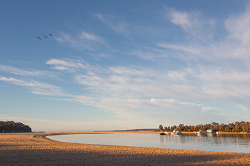Paddle On Sup Image 3